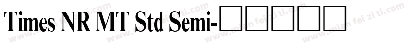 Times NR MT Std Semi字体转换